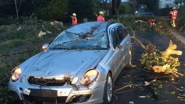 Trees fallen on a car