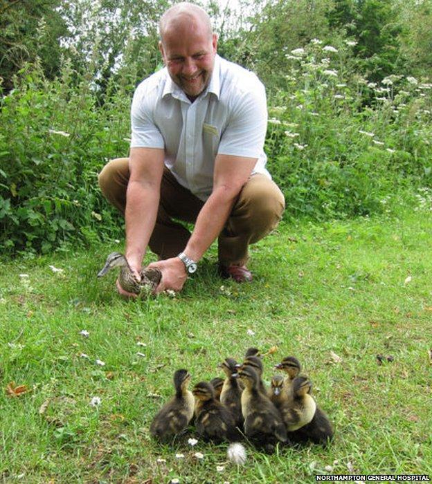 Northampton General Hospital ducks