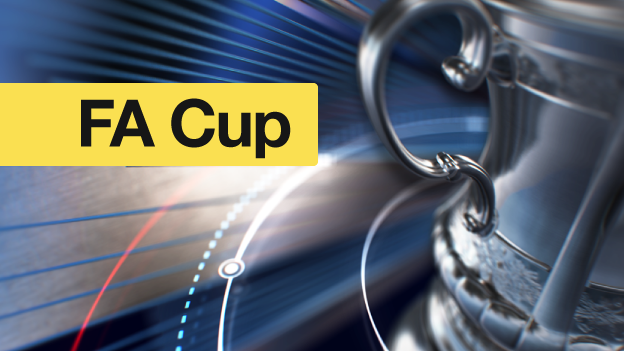 FA Cup graphic