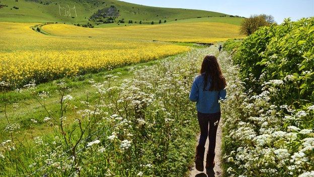 Footpath on the South Downs in May 2015