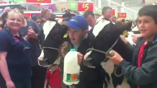 Cows in the Asda in Stafford