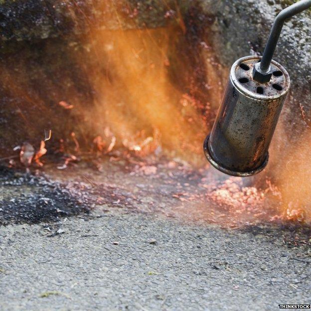Weed killer flame gun killed 86-year-old gardener - BBC News
