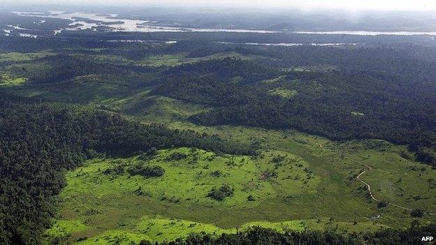 Amazon forest near the Xingu river, 2005