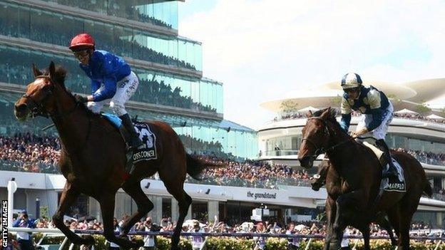 Cross Counter wins the Melbourne Cup