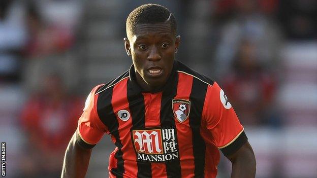 Ivory Coast and Bournemouth's Max Gradel