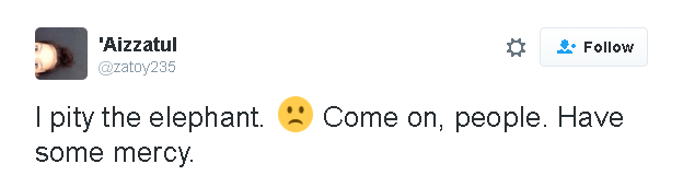 I pity the elephant [sadface emoji] Come on people. Have some mercy.