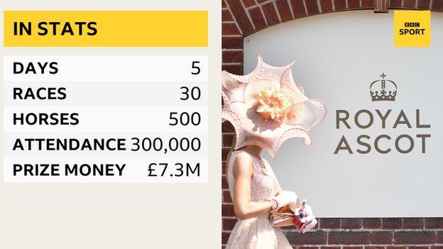 Royal Ascot in stats - 5 days, 30 races, 300,000 racegoers