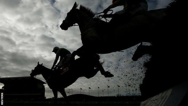 Horses at the Grand National meeting