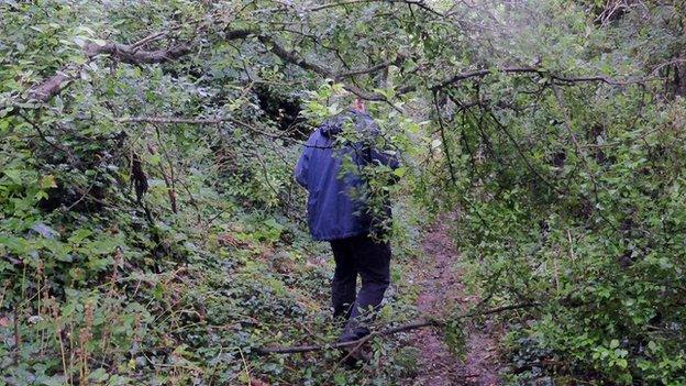 Man walking through overgrowth