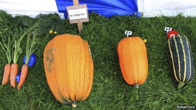 Vegetables in competition