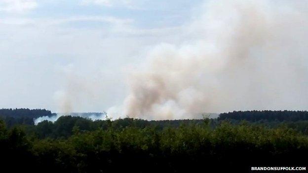 The fire at Thetford Forest