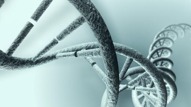 Are fitbands the future of genetic research? - BBC News