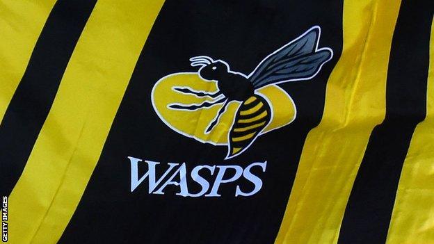 Wasps flag