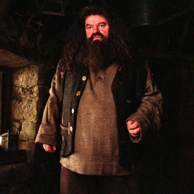 Robbie Coltrane as Hagrid in Harry Potter