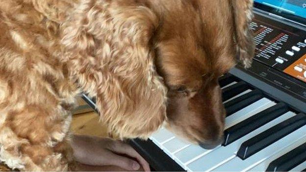 Leah Williamson playing piano with dog