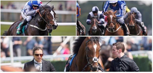 (From top left to right) Frankel's offspring Eminent, Queen Kindly and Cunco