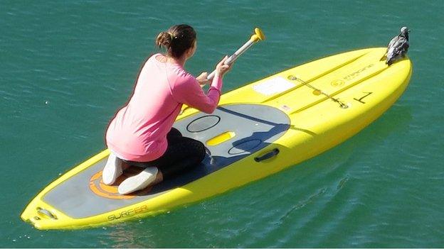 Pigeon on paddleboard