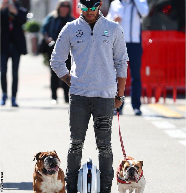 Lewis Hamilton takes his dogs for a walk