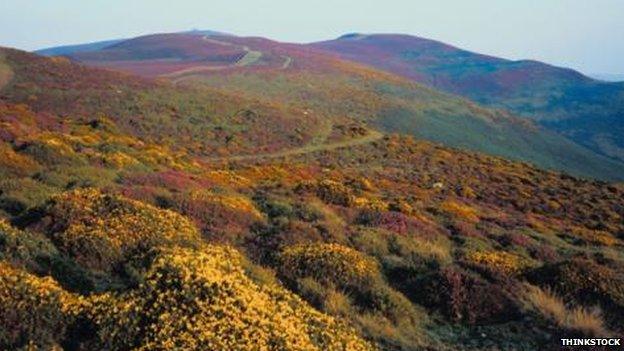 The Clwydian Range