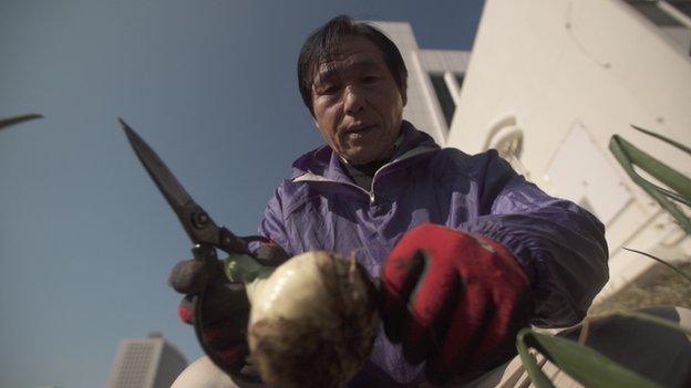 Rikizo Takano tending to plants in a garden