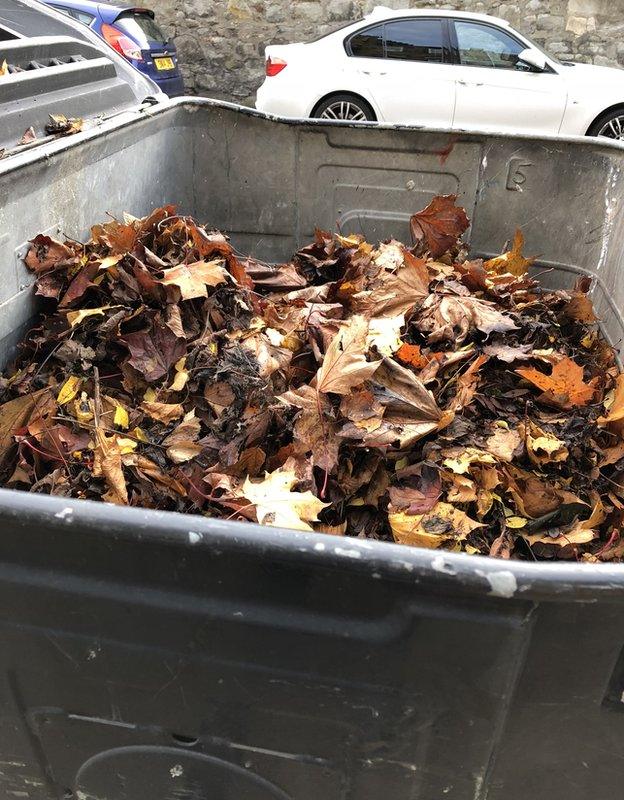 Garden waste in a communal landfill bin