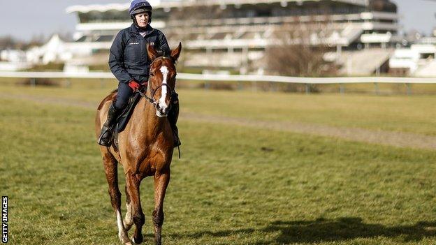 Rachael Robbins riding Faugheen for trainer Willie Mullins on the gallops at Cheltenham