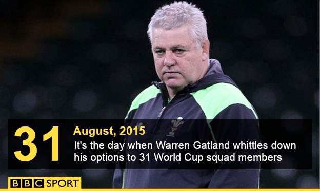 Wales coach Warren Gatland