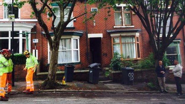 Tree fellers at Wayland Road in Sheffield