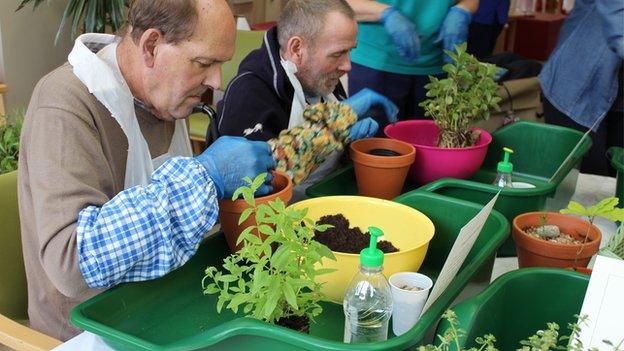 People doing horticulture