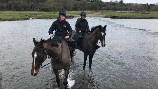 Horses enjoying the water