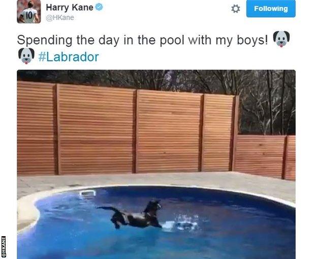 Harry Kane's swimming pool