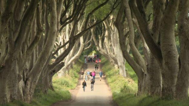 The Dark Hedges near Armoy, County Antrim, has been among the locations used during Game of Thrones