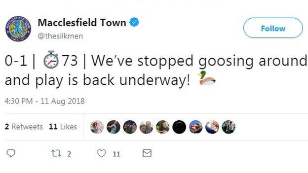 Goose stops play at Macclesfield