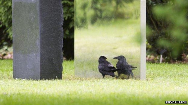 Crow with sculpture