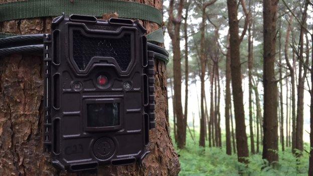 Camera trap