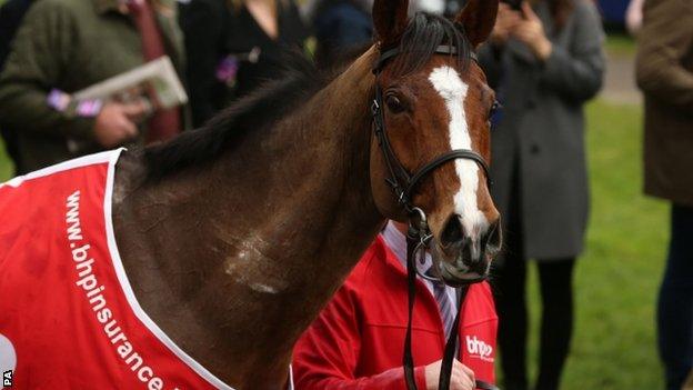 Faugheen after his win at Leopardstown