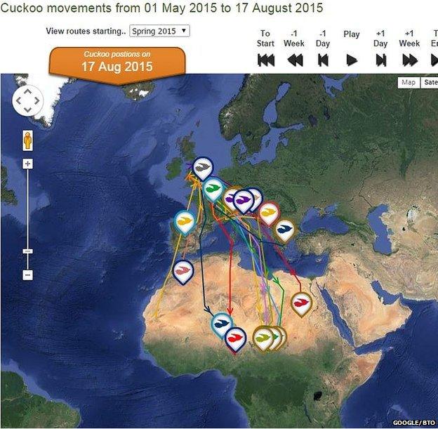 Cuckoo map