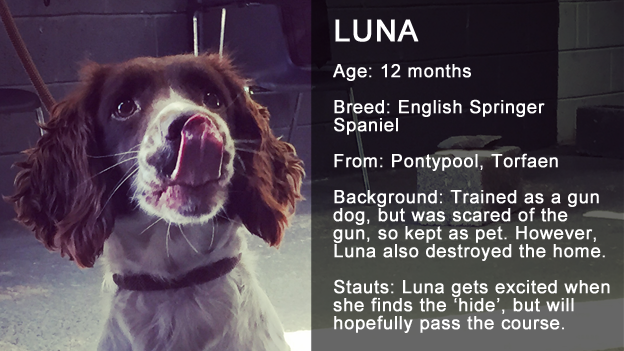 Luna