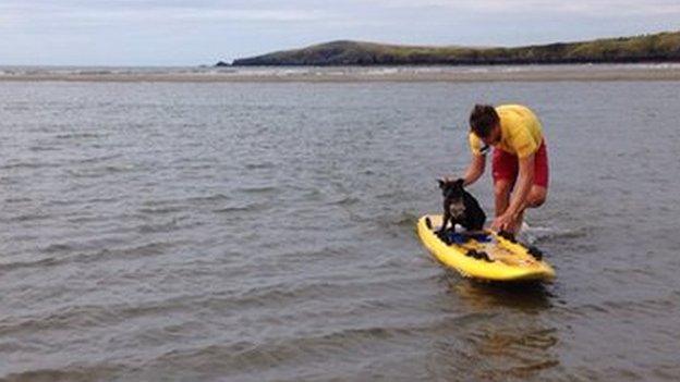 RNLI lifeguard Sam Purnell rescues dog