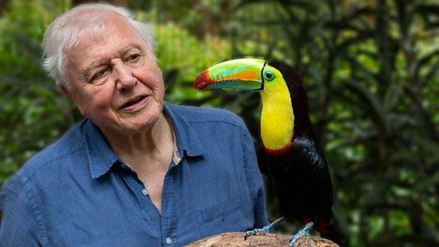 David-Attenborough-bird.