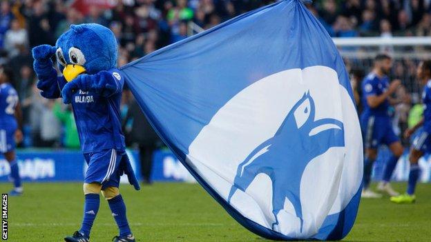 Cardiff City mascot