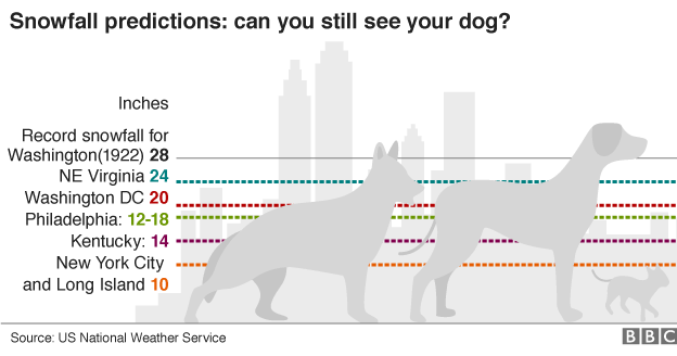 graphic of expected snowfall compared with heights of several breeds of dog