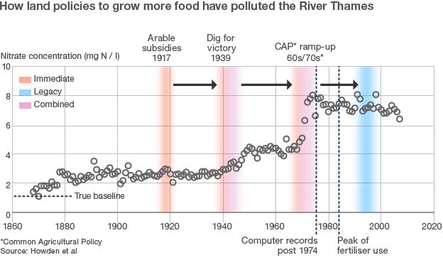 Thames nitrate