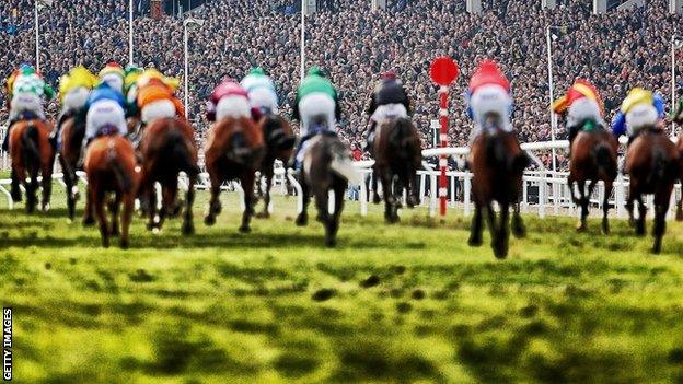 Horses race at the Cheltenham Festival in 2015