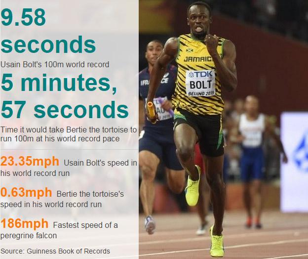 Datapic showing Usain Bolt