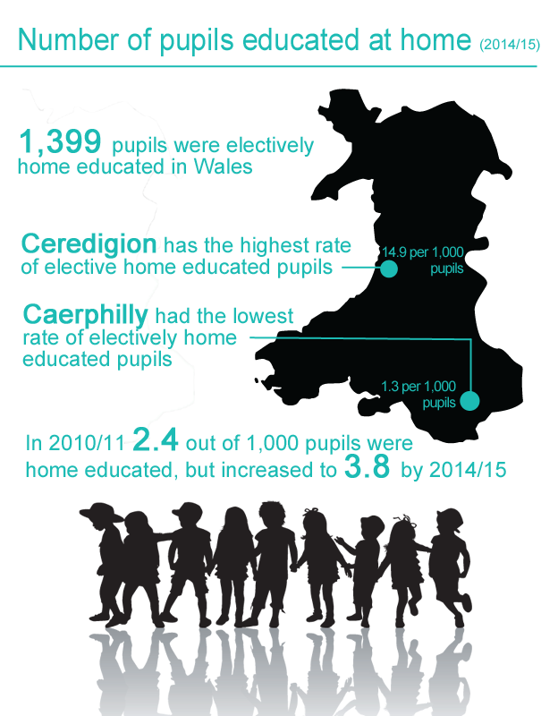 Home education stats