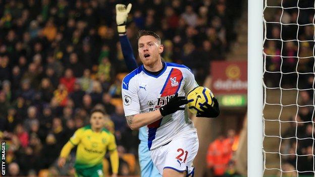 Connor Wickham celebrates his equaliser for Crystal Palace against Norwich