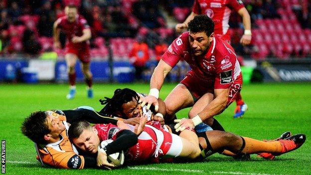 Wing Steff Evans scores a try on his 100th Scarlets appearance