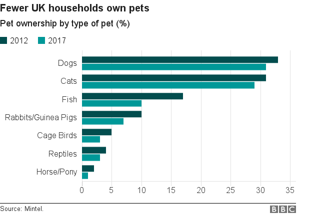 Pet categories