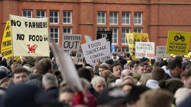 Protestors with signs